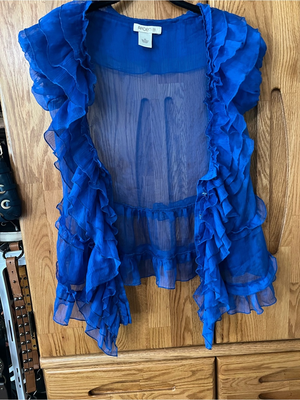 Vintage Arden B ruffle sheer blue vest button up top XS